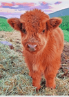Little Cow - Artistry Numbers