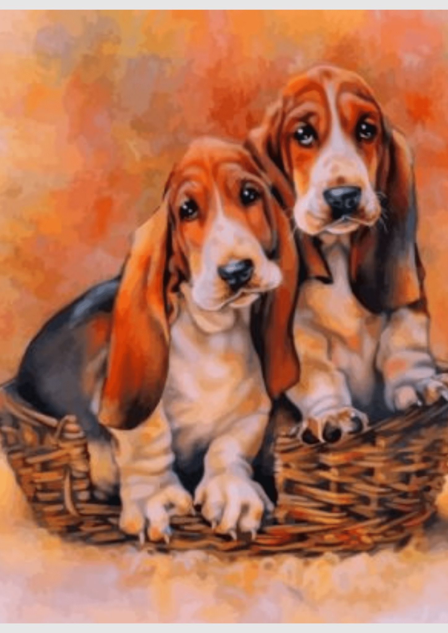 Basset Hound Dogs -  Artistry Numbers