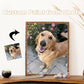 Custom Your Pets Paint By Numbers Kit