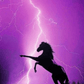 Purple Horse -  Artistry Numbers