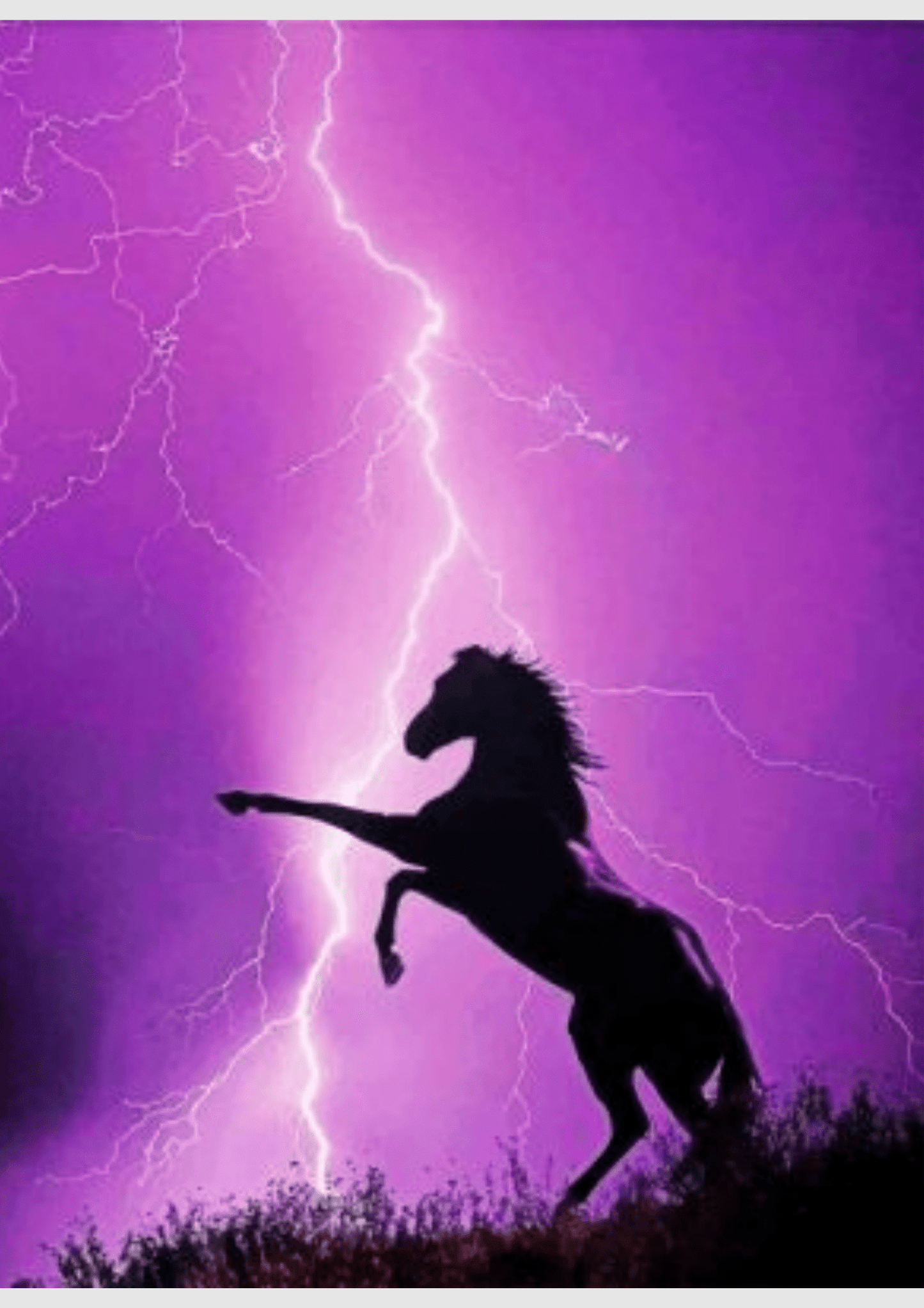 Purple Horse -  Artistry Numbers
