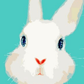 White Rabbit -  Artistry Numbers